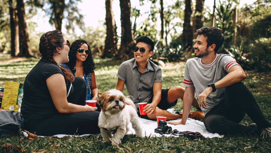 Parkway Veterinary Center – Your Family Pet Center!